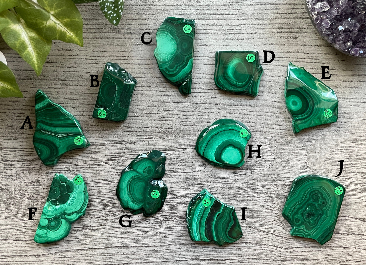 Malachite Polished Slabs (15-35g) back