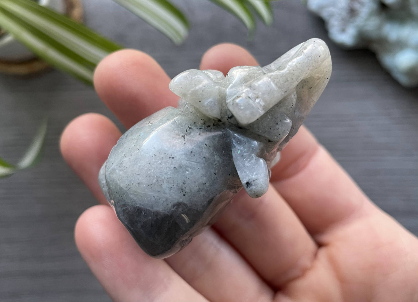 Labradorite Elephant (5cm) Crystal Carving, top