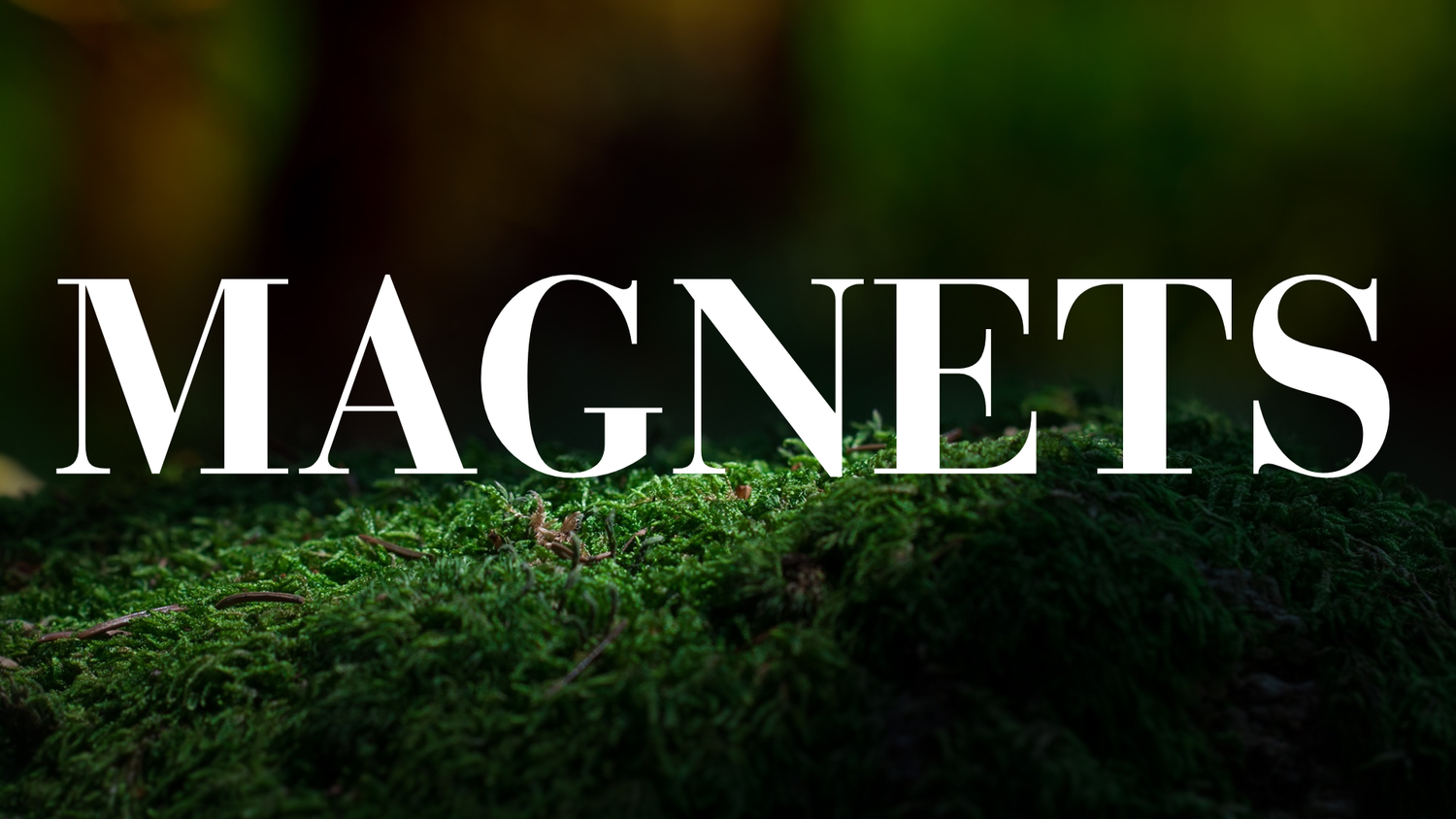 Magnets - The Wandering Fox Emporium, Your Metaphysical Store