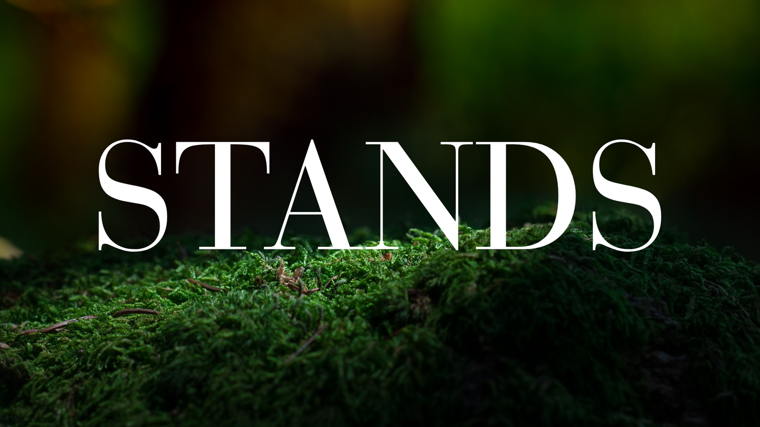 Crystal Stands - The Wandering Fox Emporium, Your Metaphysical Store