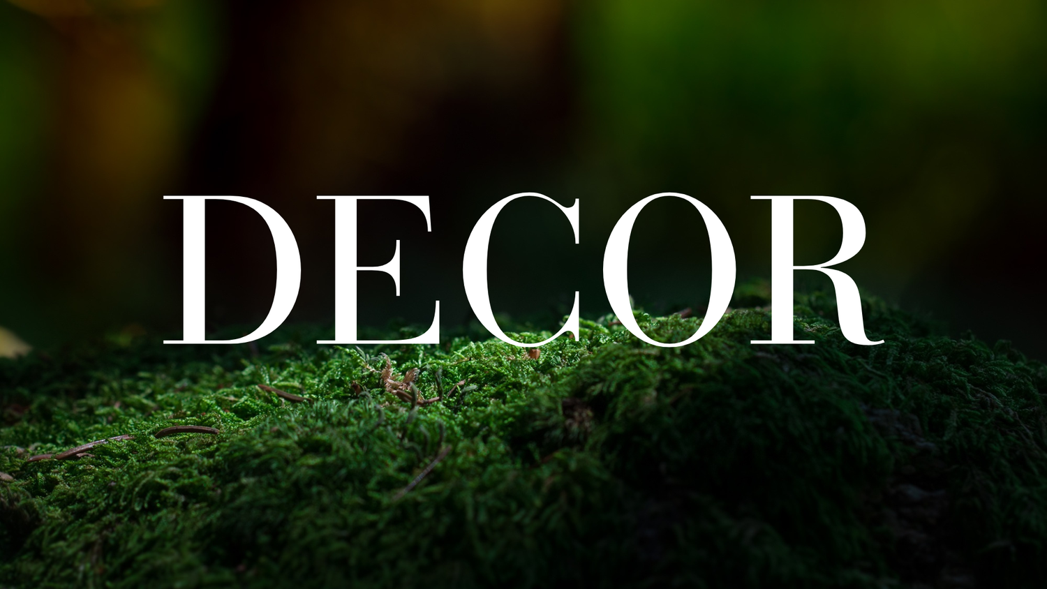 Small Home Decor - The Wandering Fox Emporium, Your Metaphysical Store