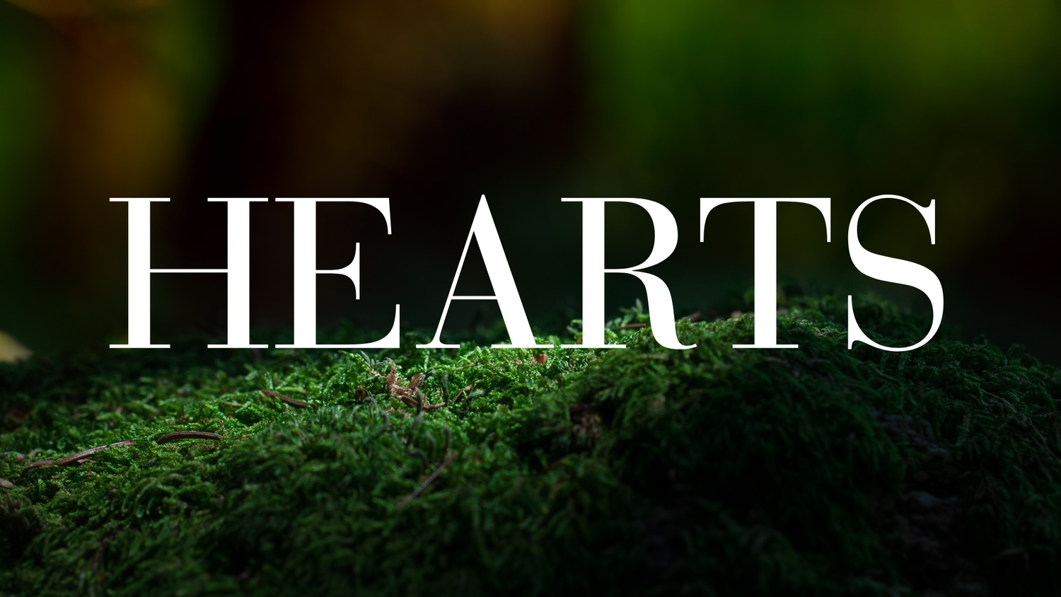 Crystal Hearts - The Wandering Fox Emporium, Your Metaphysical Store