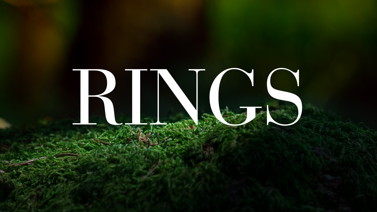 Rings - The Wandering Fox Emporium, Your Crystal Store