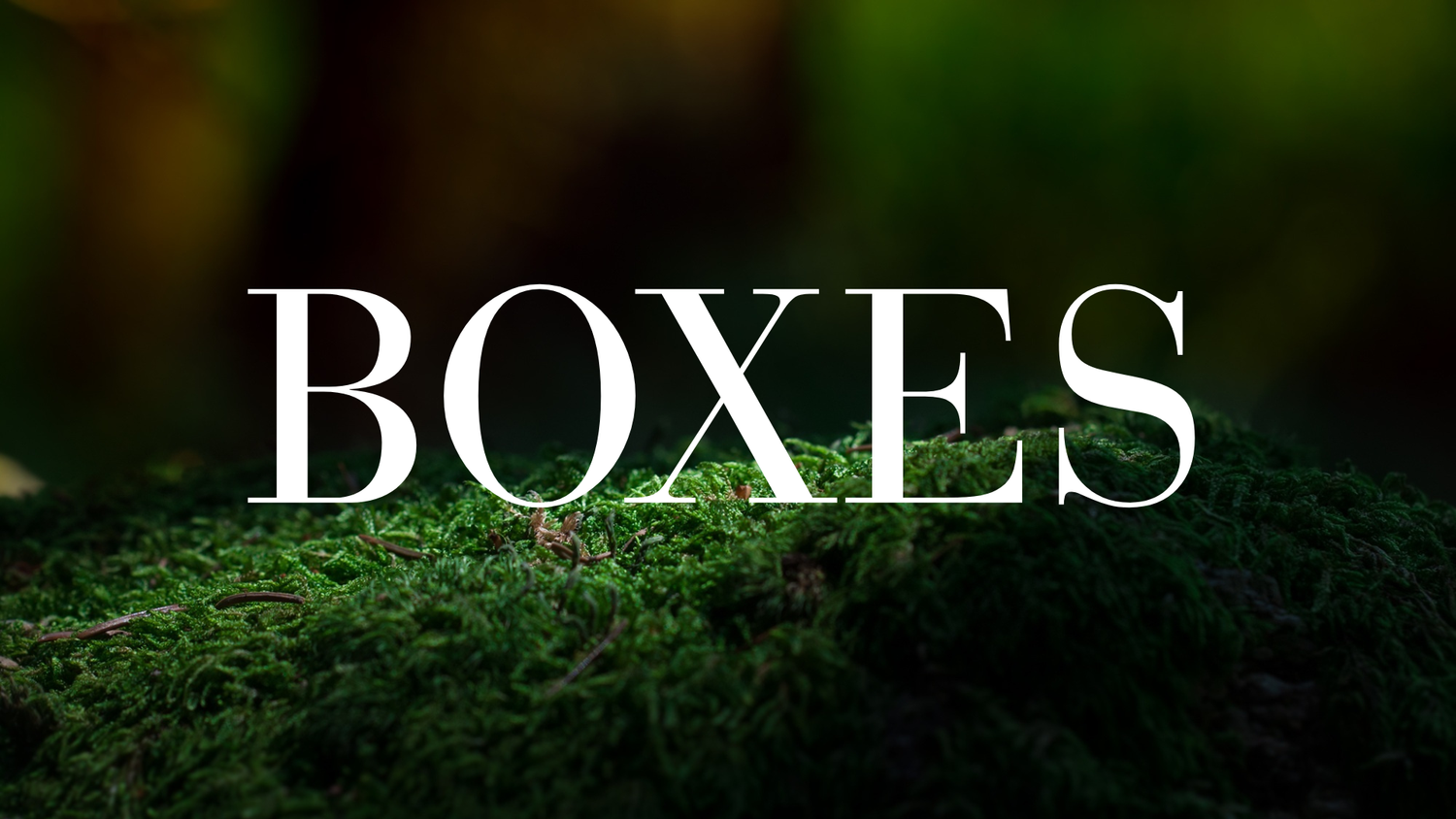 Boxes - The Wandering Fox Emporium, Your Metaphysical Store