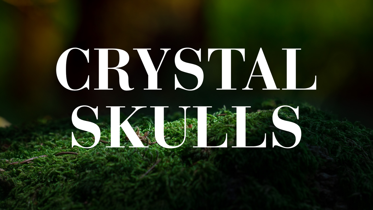 Crystal Skulls - The Wandering Fox Emporium, Your Metaphysical Store