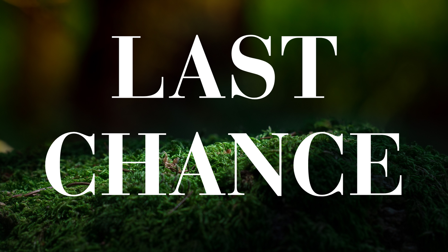LAST CHANCE ITEMS - The Wandering Fox Emporium, Your Metaphysical Store