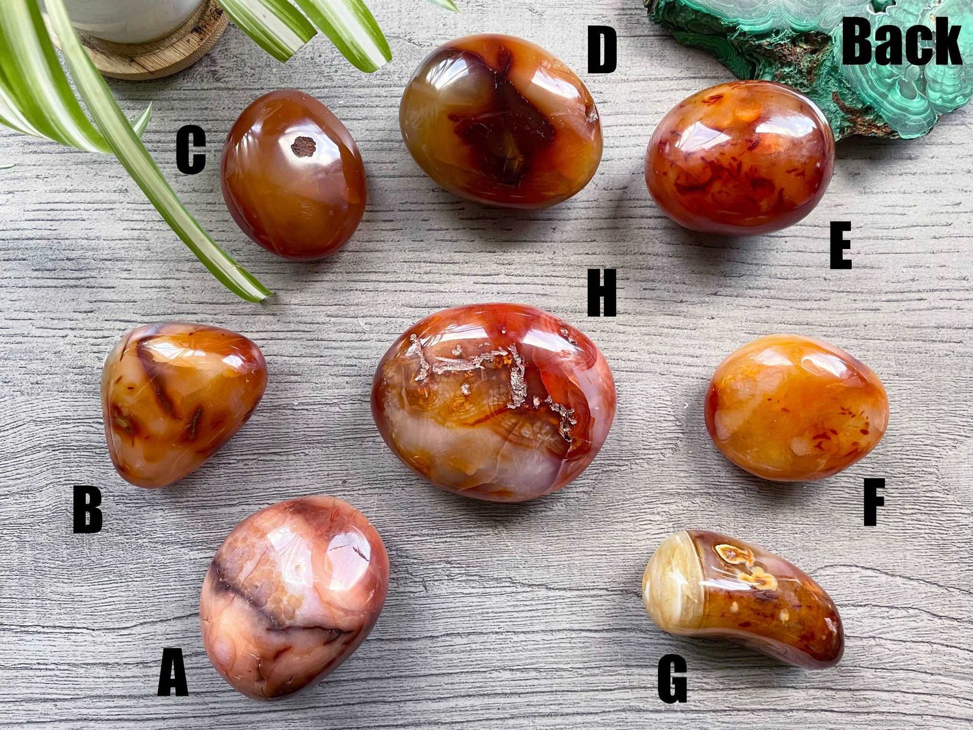 Carnelian Palm Stone back