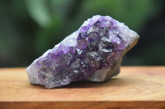 Thunder Bay Amethyst Crystal Cluster (G) | The Wandering Fox Emporium
