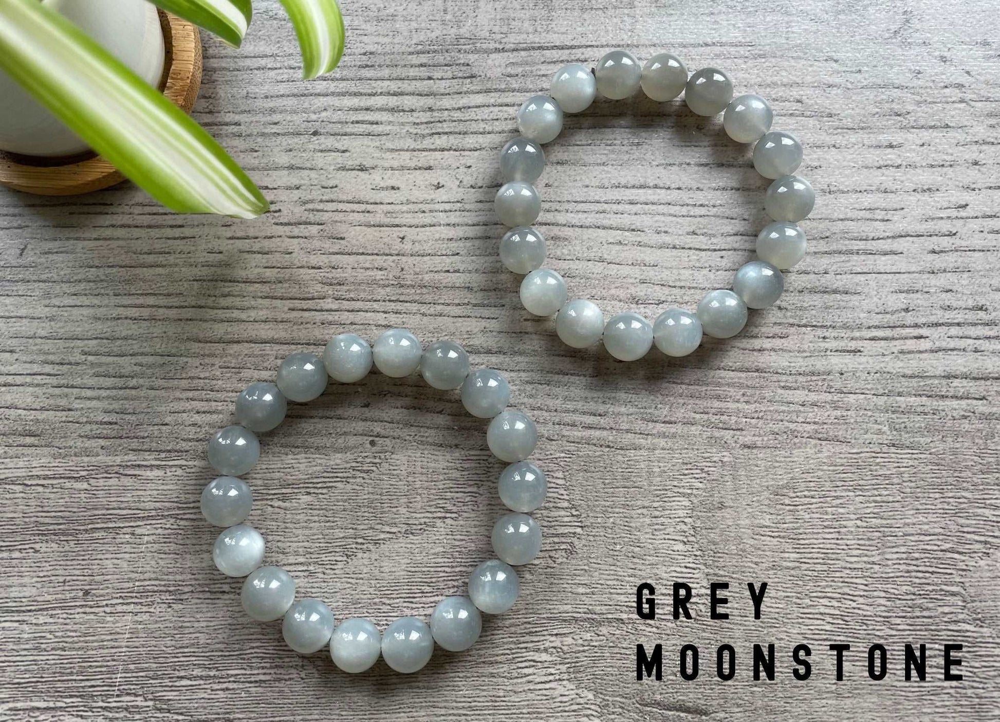 Grey Moonstone Bracelet - The Wandering Fox Emporium, Your Crystal Store