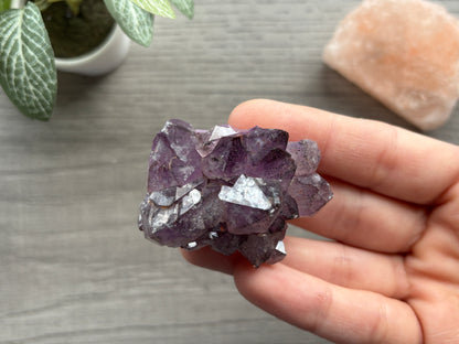 Thunder Bay Amethyst Crystal Cluster (H) - The Wandering Fox Emporium, Your Crystal Store