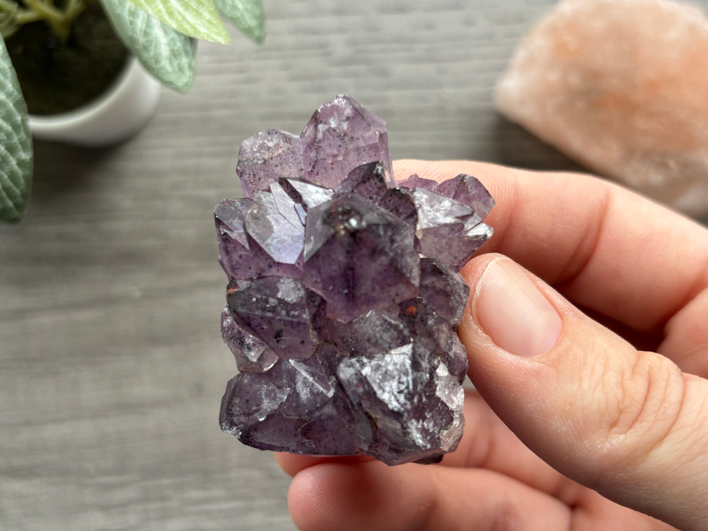 Thunder Bay Amethyst Crystal Cluster (H) - The Wandering Fox Emporium, Your Crystal Store