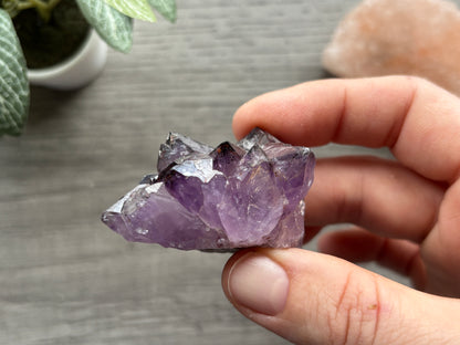 Thunder Bay Amethyst Crystal Cluster (H) - The Wandering Fox Emporium, Your Crystal Store
