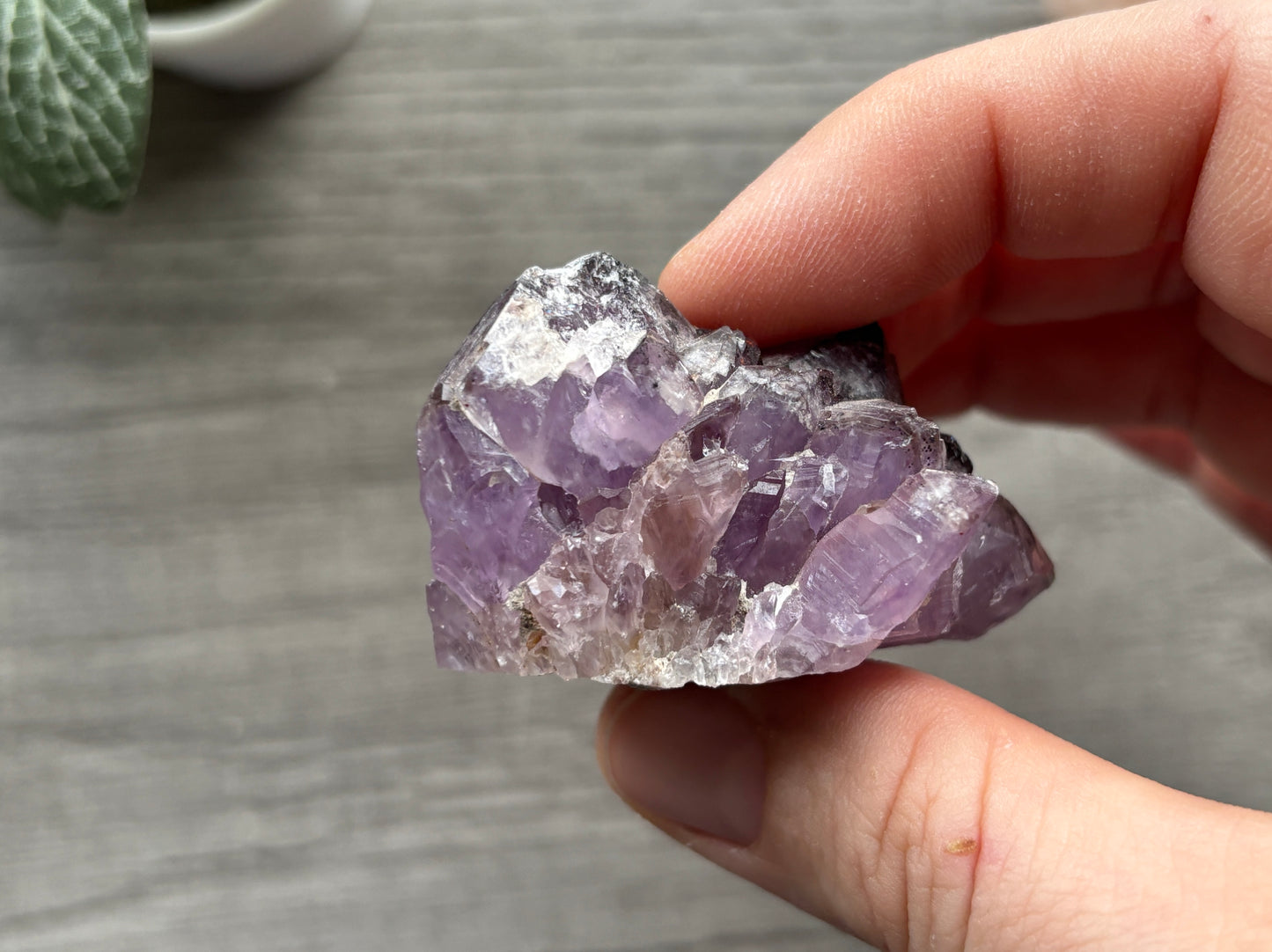 Thunder Bay Amethyst Crystal Cluster (H) - The Wandering Fox Emporium, Your Crystal Store