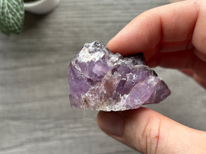 Thunder Bay Amethyst Crystal Cluster (H) - The Wandering Fox Emporium, Your Crystal Store