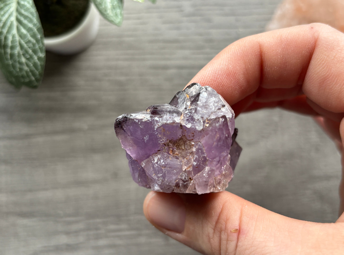 Thunder Bay Amethyst Crystal Cluster (H) - The Wandering Fox Emporium, Your Crystal Store