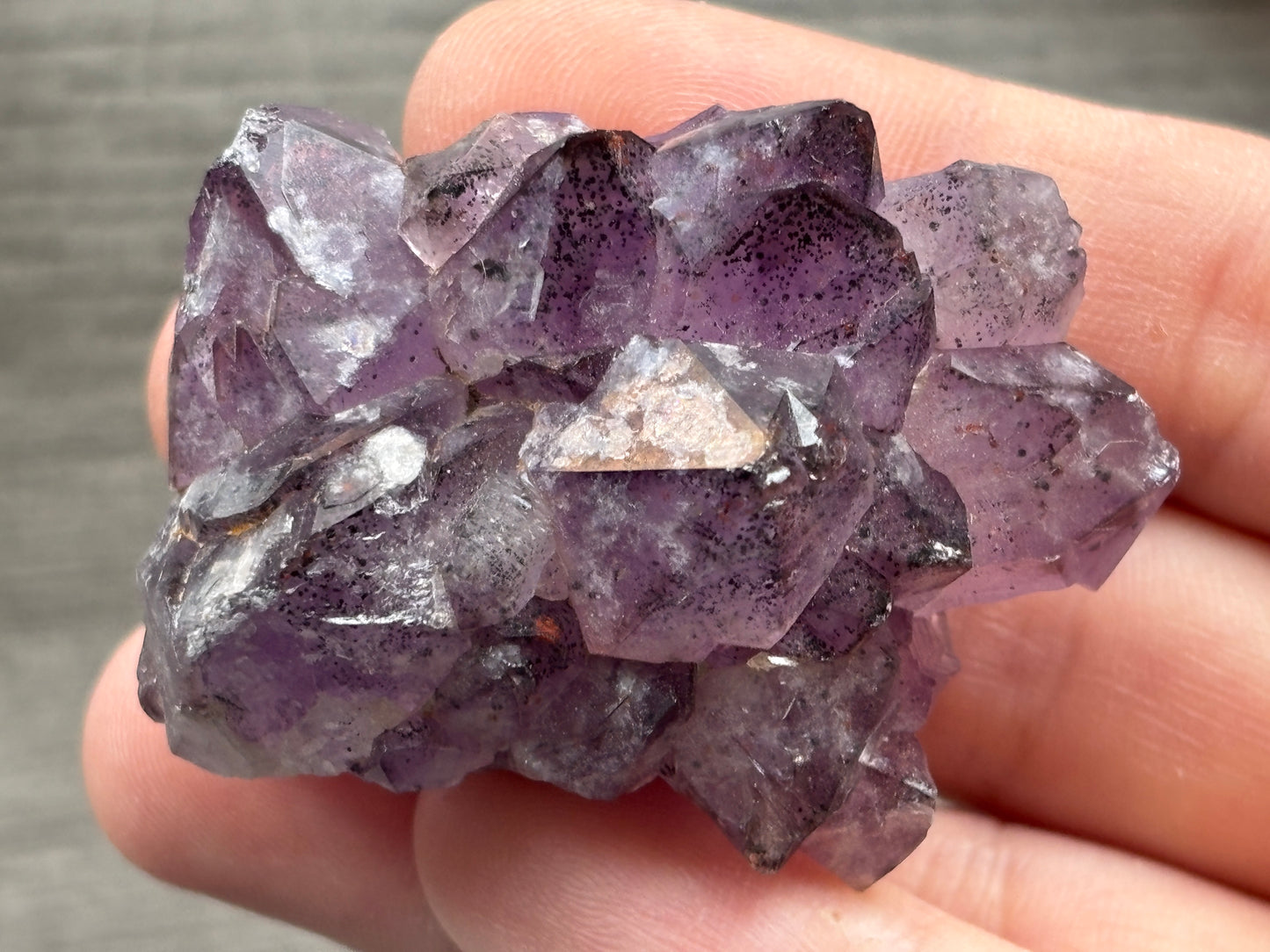 Thunder Bay Amethyst Crystal Cluster (H) - The Wandering Fox Emporium, Your Crystal Store