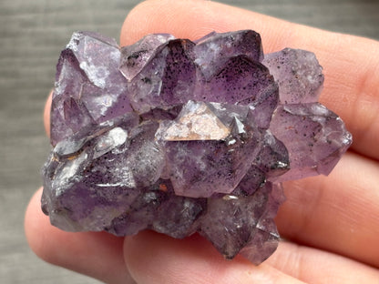 Thunder Bay Amethyst Crystal Cluster (H) - The Wandering Fox Emporium, Your Crystal Store