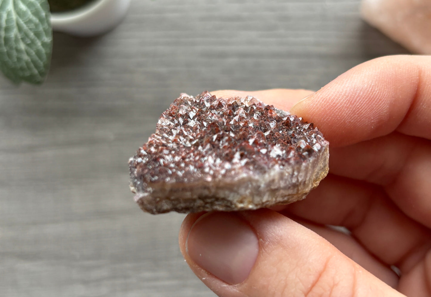 Thunder Bay Red Amethyst Crystal Cluster (K) - The Wandering Fox Emporium, Your Crystal Store
