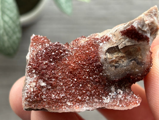 Thunder Bay Red Amethyst Crystal Cluster (L) | The Wandering Fox Emporium