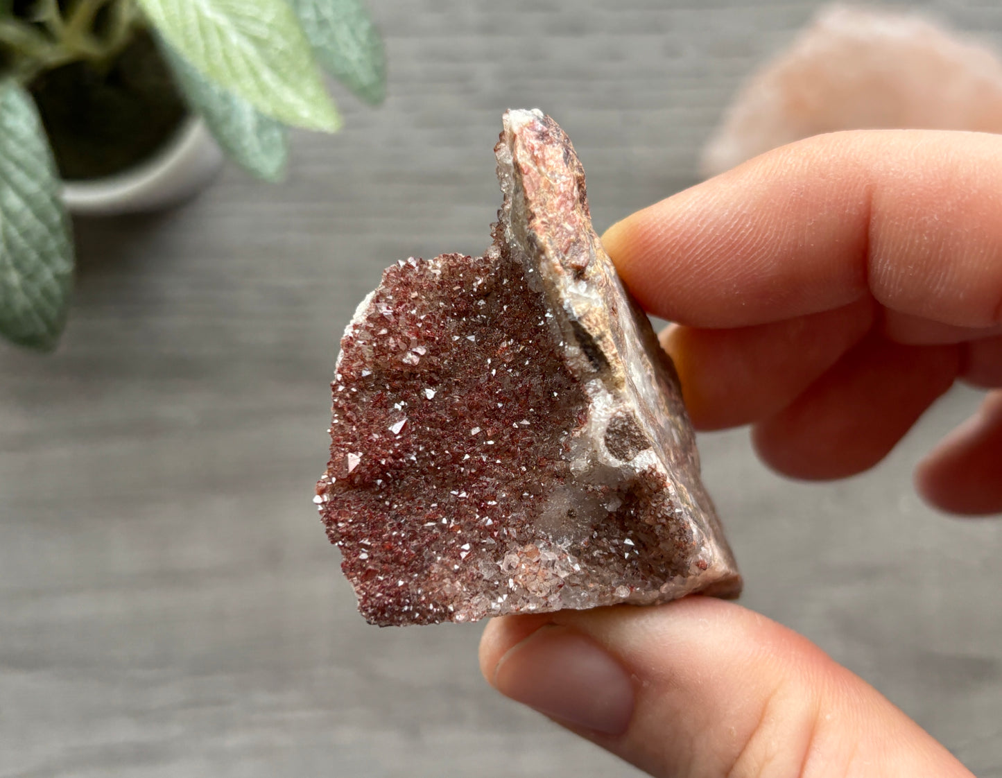 Thunder Bay Red Amethyst Crystal Cluster (M) - The Wandering Fox Emporium, Your Crystal Store