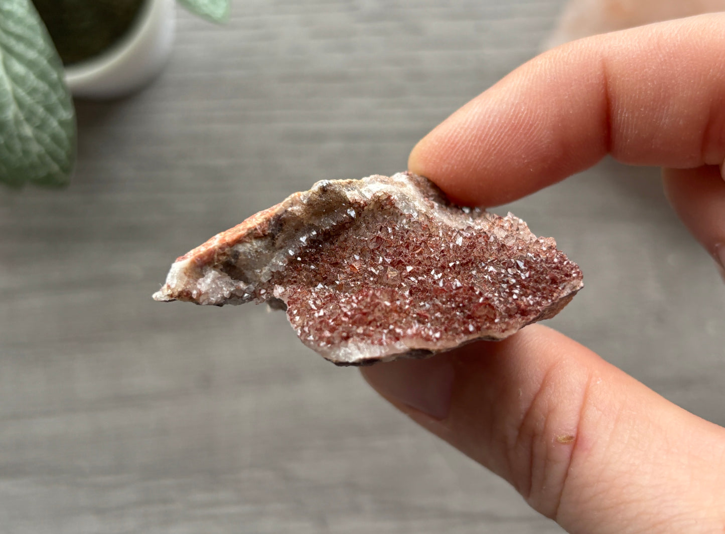 Thunder Bay Red Amethyst Crystal Cluster (M) - The Wandering Fox Emporium, Your Crystal Store