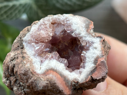 Pink Amethyst Geode Crystal Cluster (F)