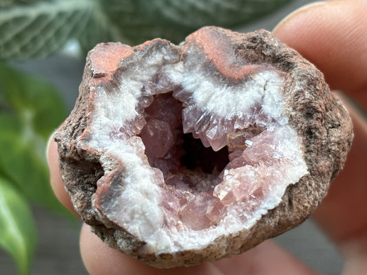 Pink Amethyst Geode Crystal Cluster (F)