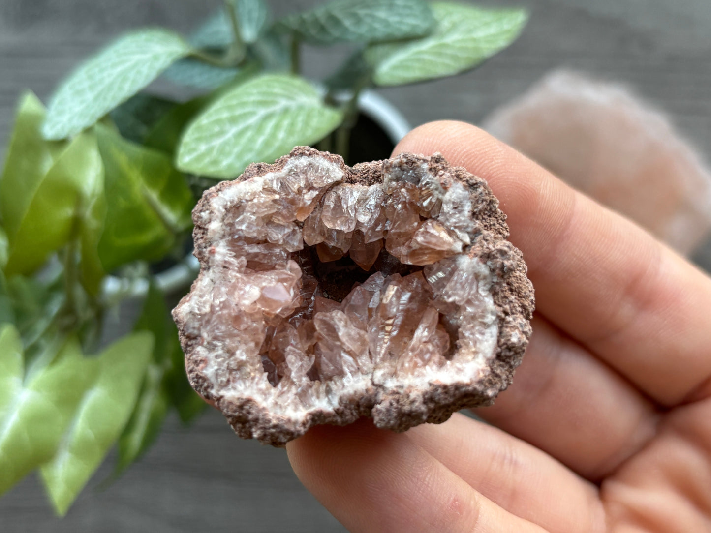 Pink Amethyst Geode Crystal Cluster (G)