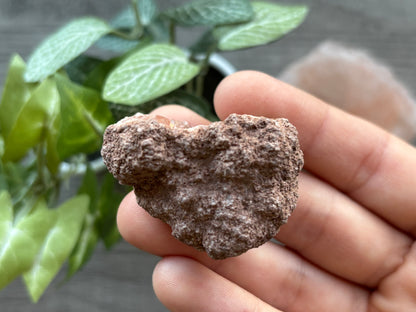 Pink Amethyst Geode Crystal Cluster (G)