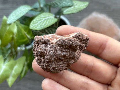 Pink Amethyst Geode Crystal Cluster (G)