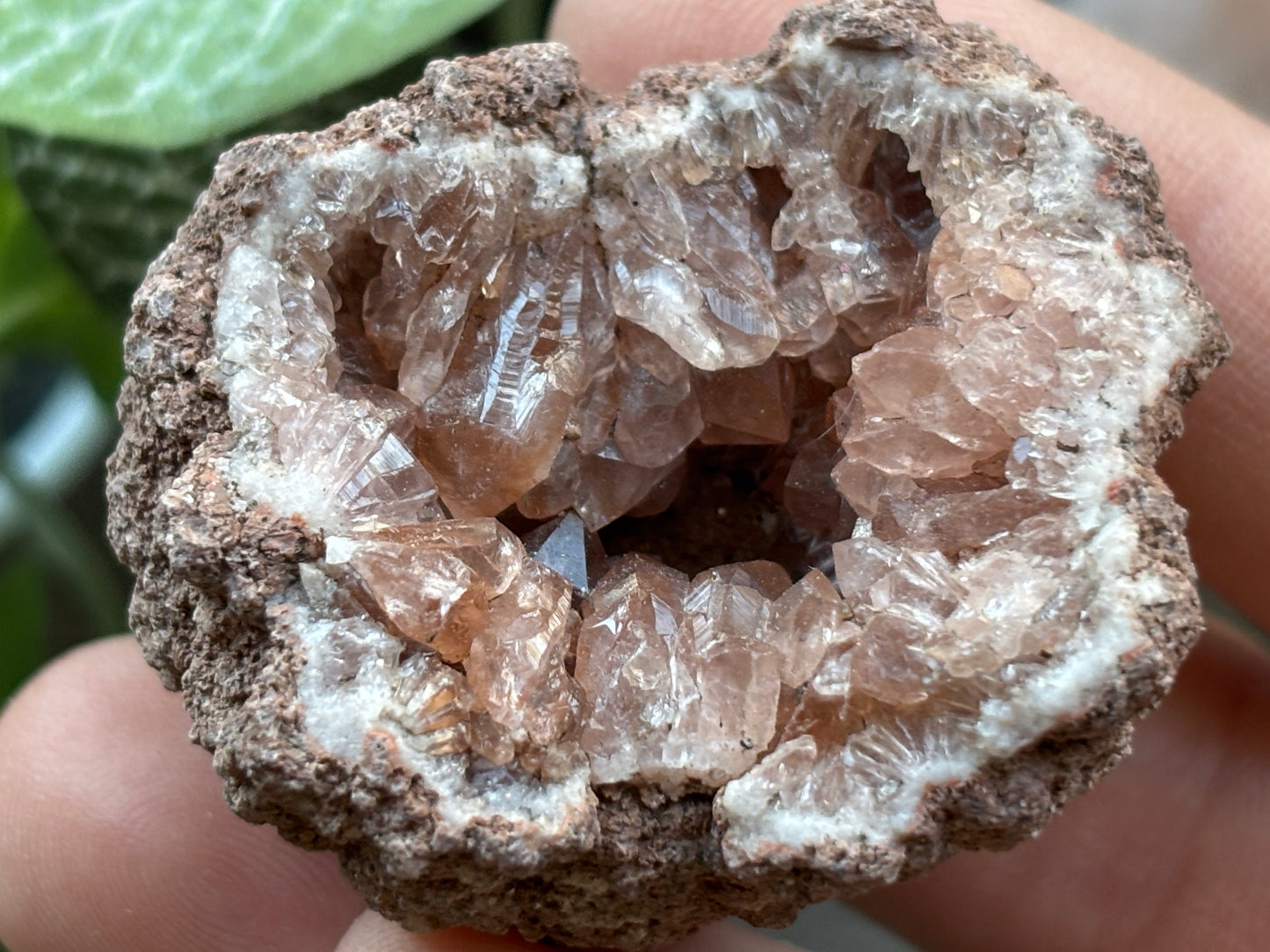 Pink Amethyst Geode Crystal Cluster (G)