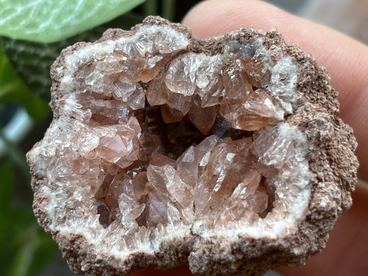 Pink Amethyst Geode Crystal Cluster (G)