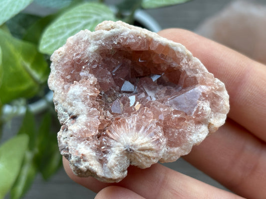 Pink Amethyst Geode Crystal Cluster (H) | The Wandering Fox Emporium