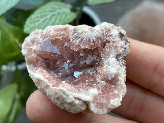 Pink Amethyst Geode Crystal Cluster (H)