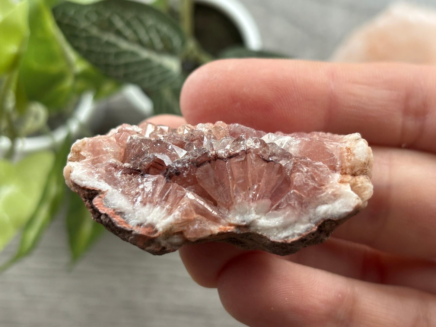 Pink Amethyst Geode Crystal Cluster (I)