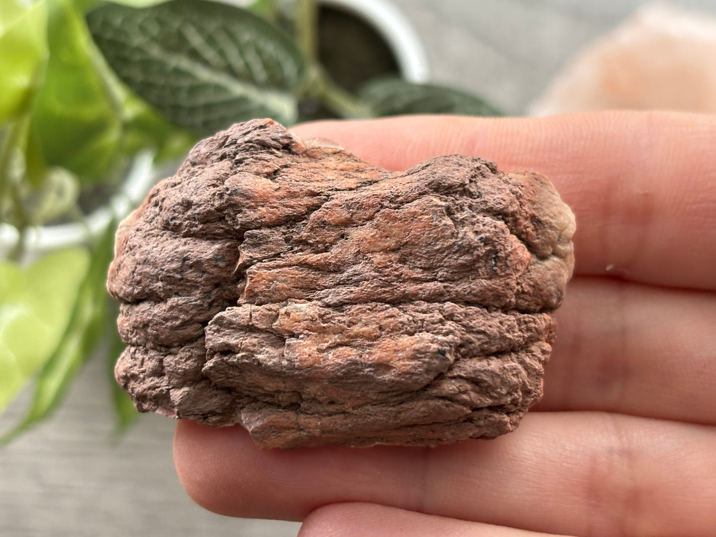 Pink Amethyst Geode Crystal Cluster (I)