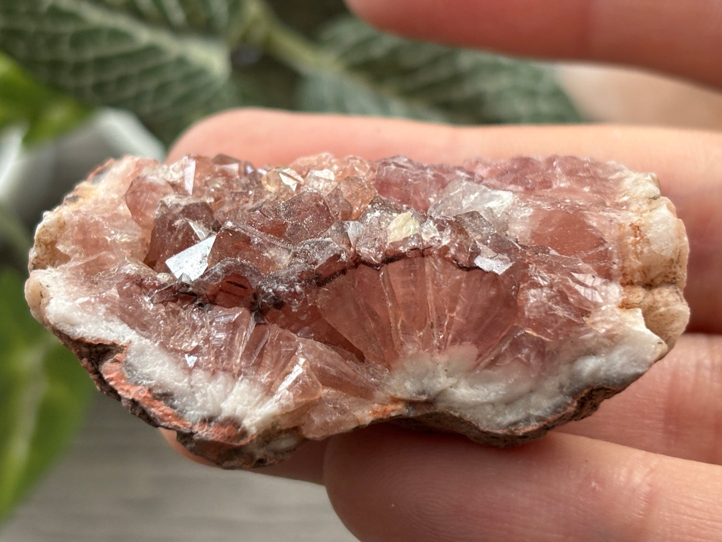 Pink Amethyst Geode Crystal Cluster (I)