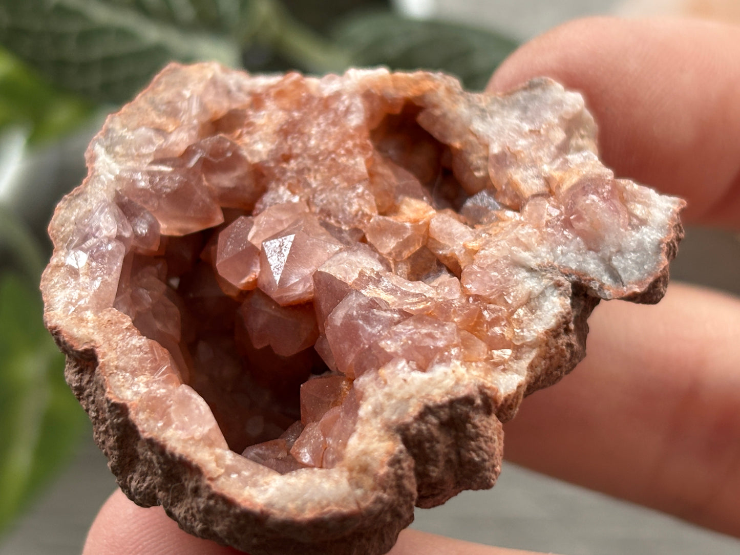 Pink Amethyst Geode Crystal Cluster (J)