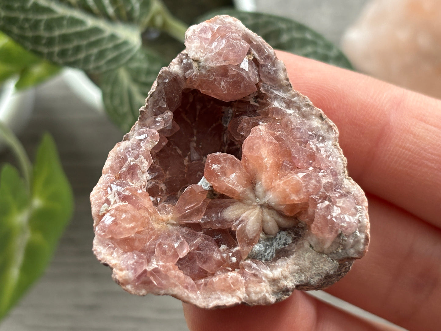 Pink Amethyst Geode Crystal Cluster (K)