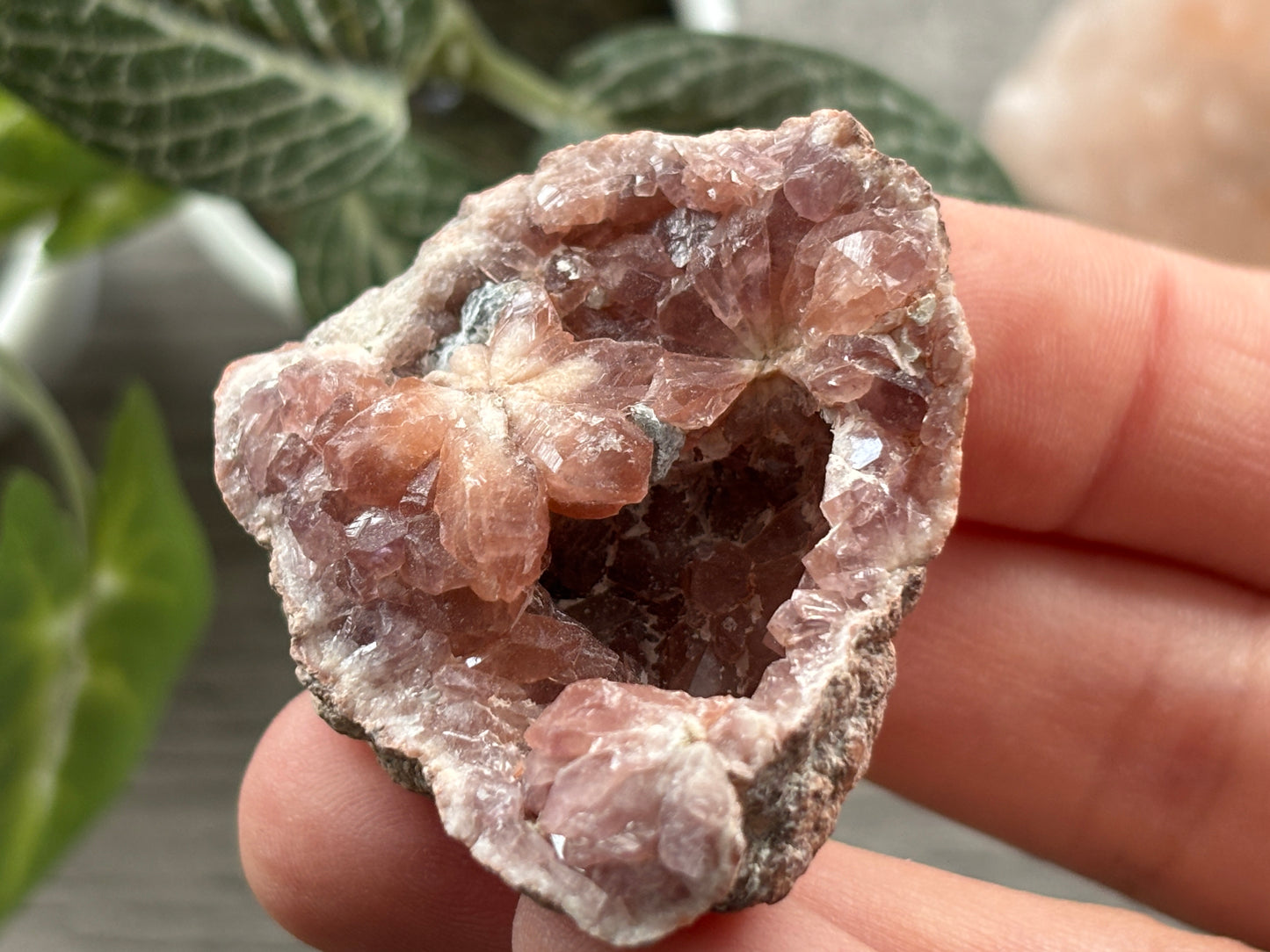 Pink Amethyst Geode Crystal Cluster (K)