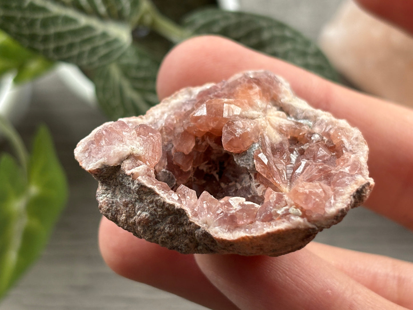 Pink Amethyst Geode Crystal Cluster (K)