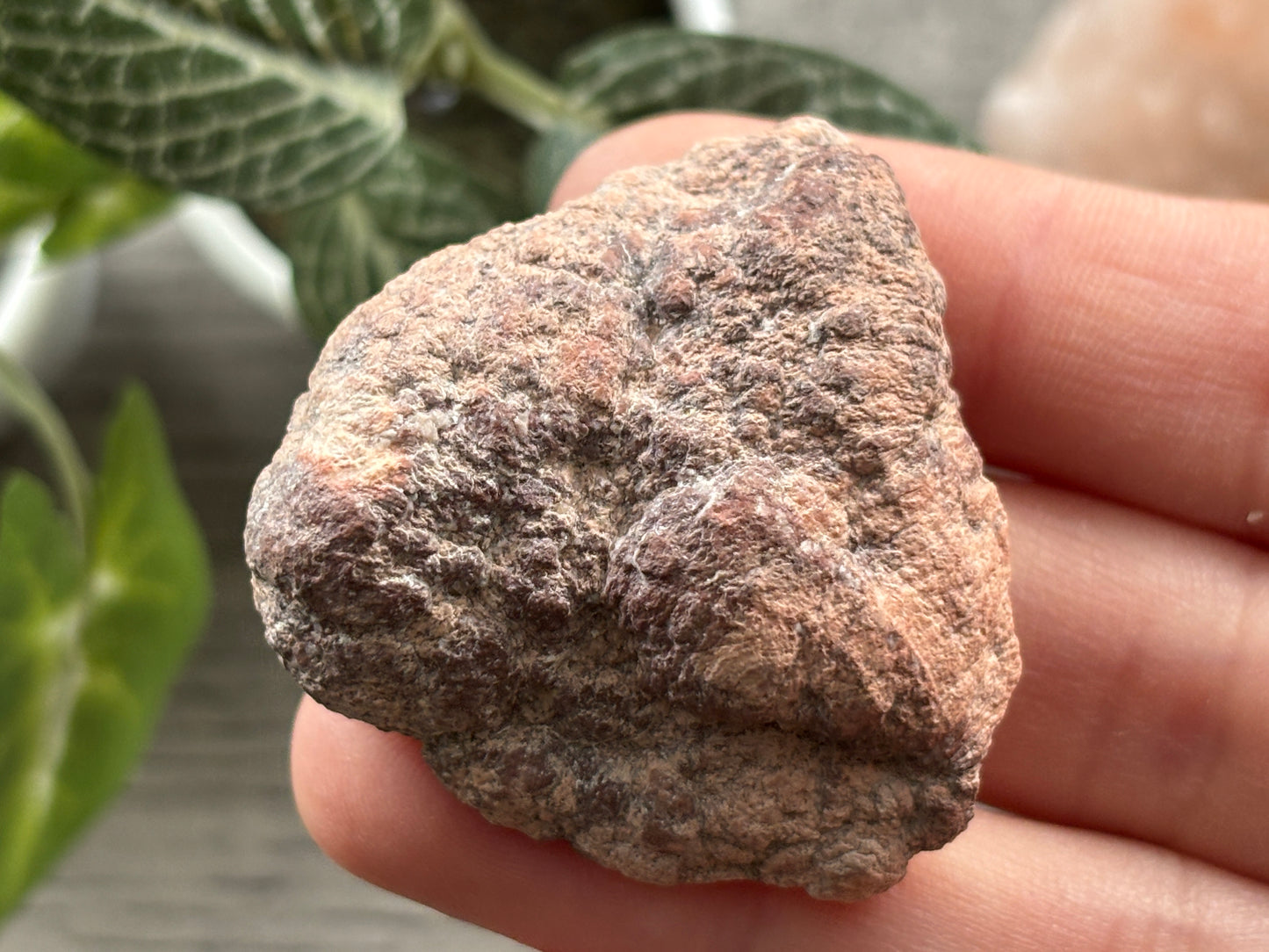 Pink Amethyst Geode Crystal Cluster (K)