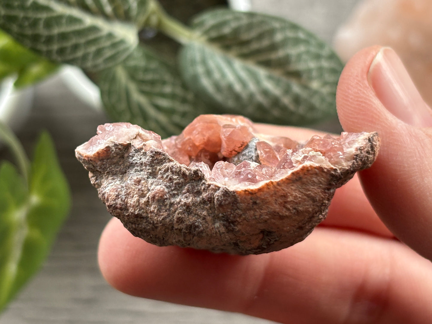 Pink Amethyst Geode Crystal Cluster (K)