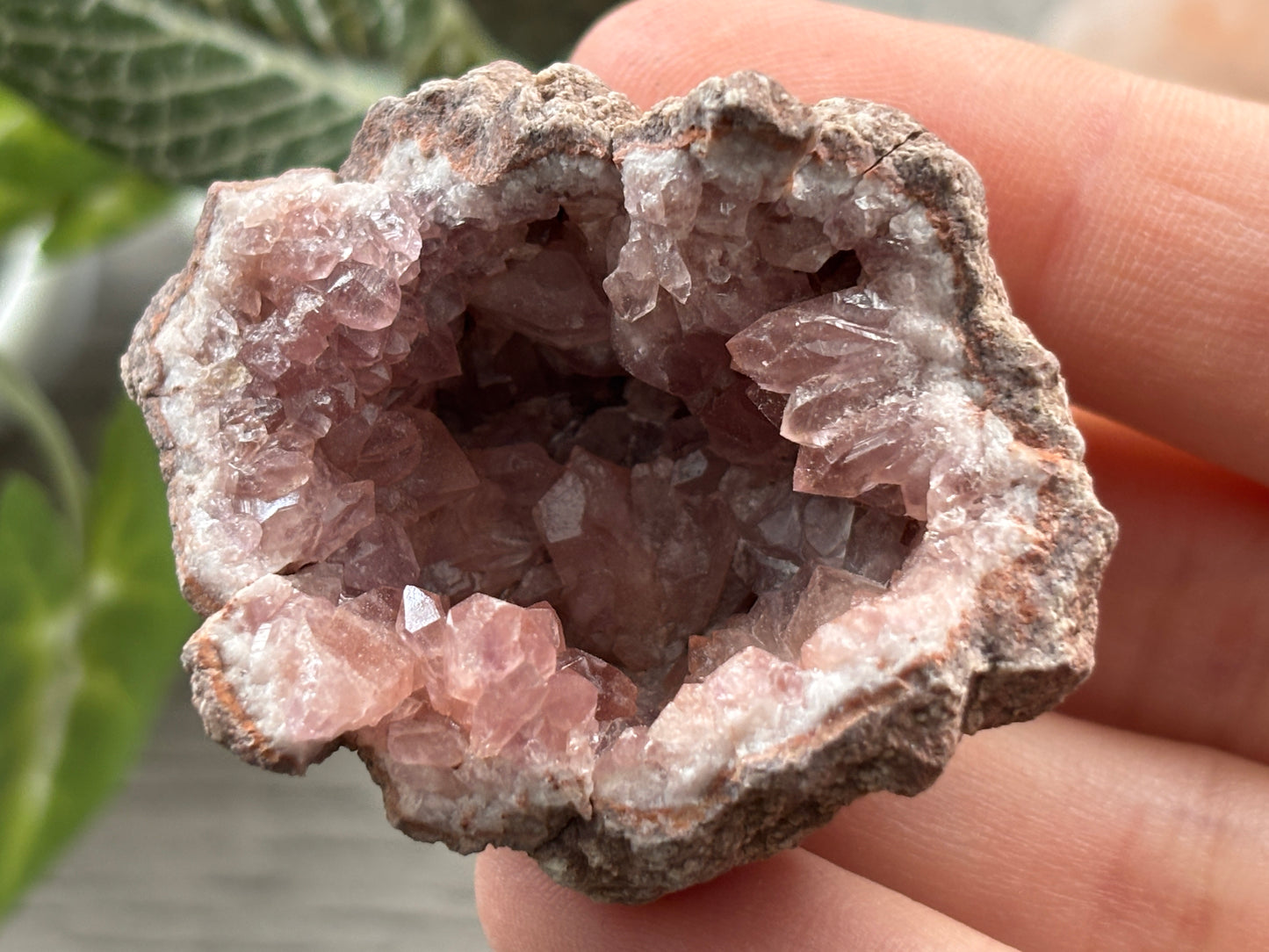Pink Amethyst Geode Crystal Cluster (L)