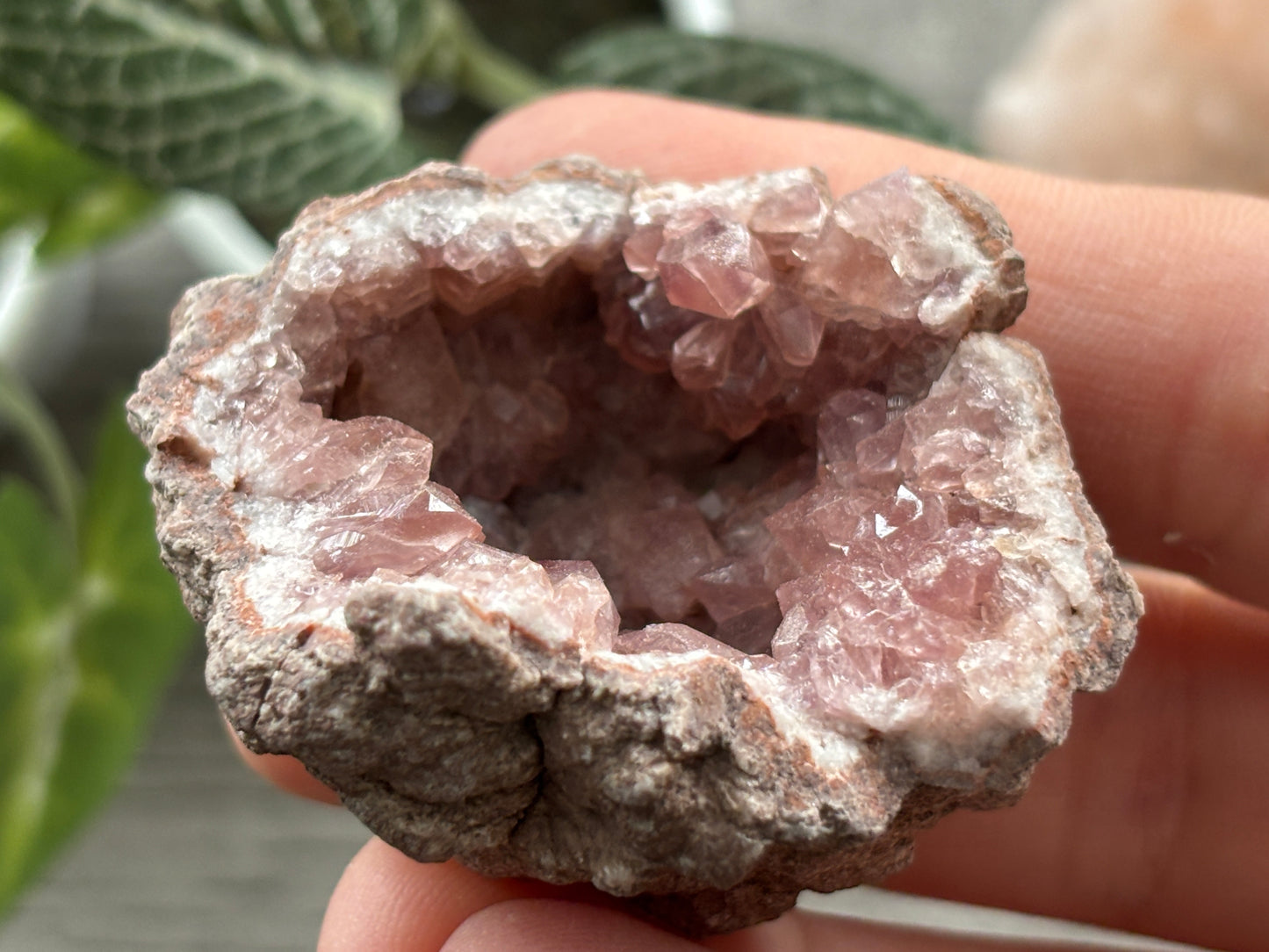 Pink Amethyst Geode Crystal Cluster (L)
