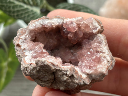 Pink Amethyst Geode Crystal Cluster (L)