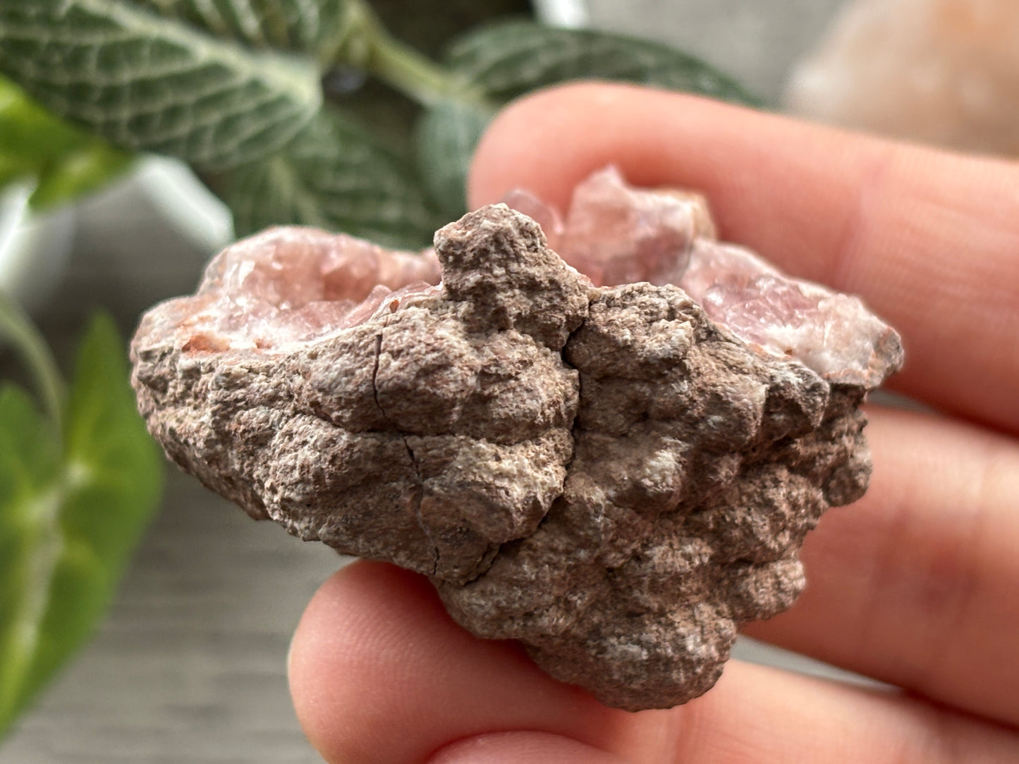 Pink Amethyst Geode Crystal Cluster (L)