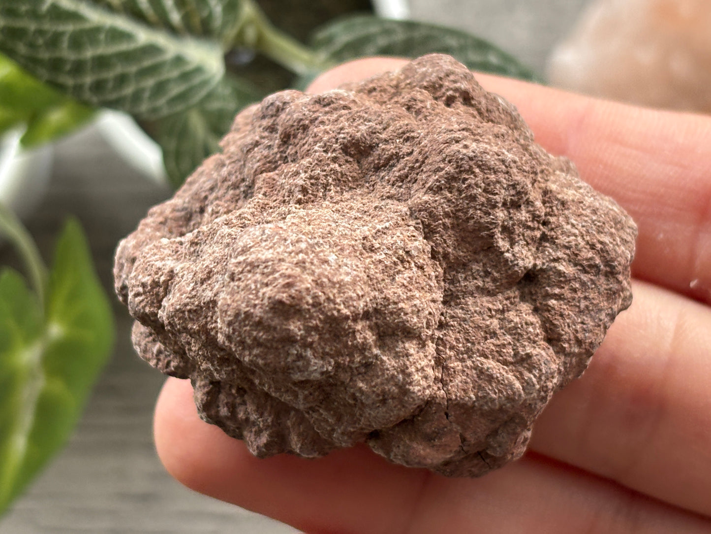 Pink Amethyst Geode Crystal Cluster (L)