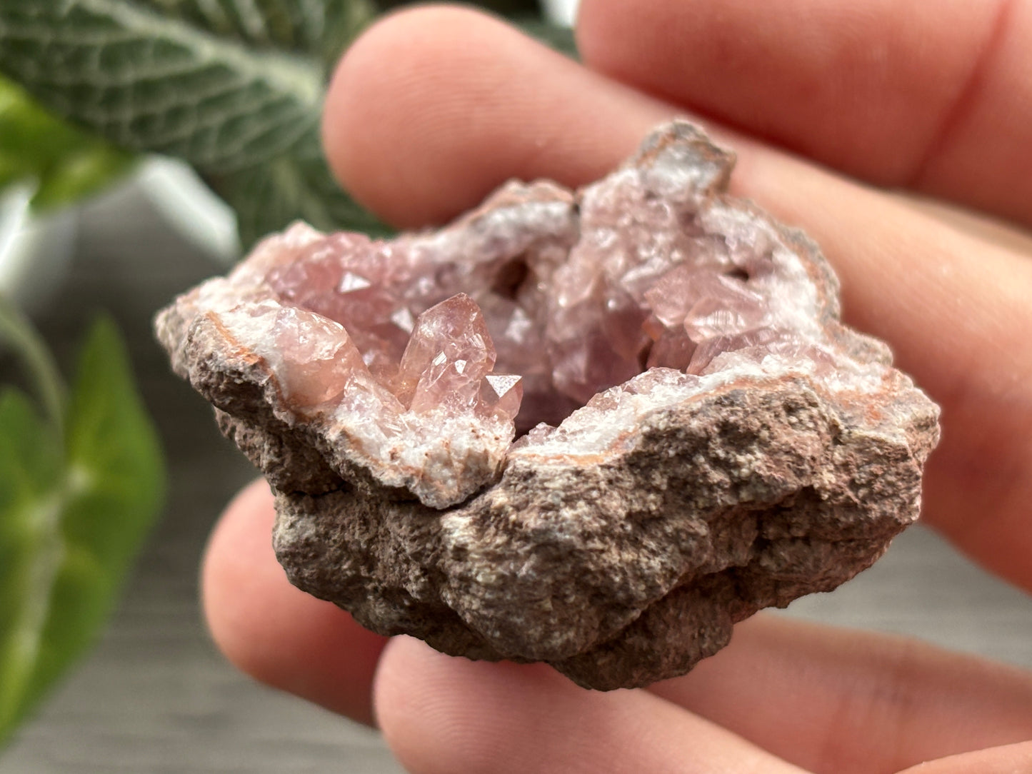 Pink Amethyst Geode Crystal Cluster (L)