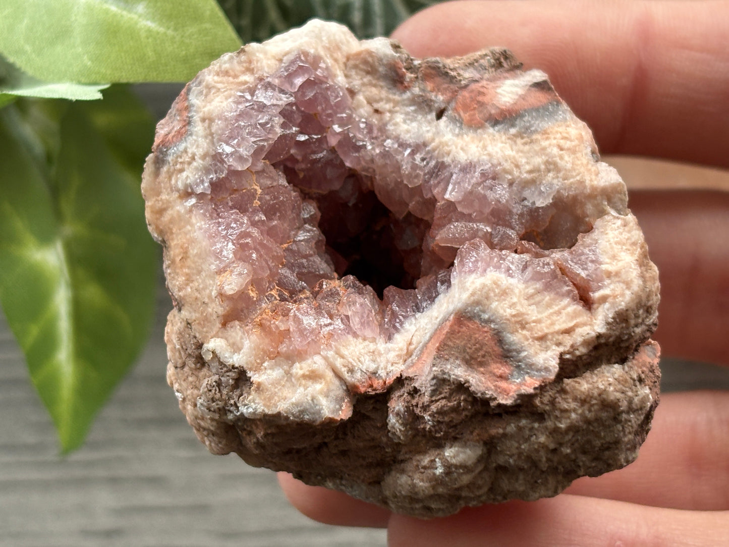 Pink Amethyst Geode Crystal Cluster (M)